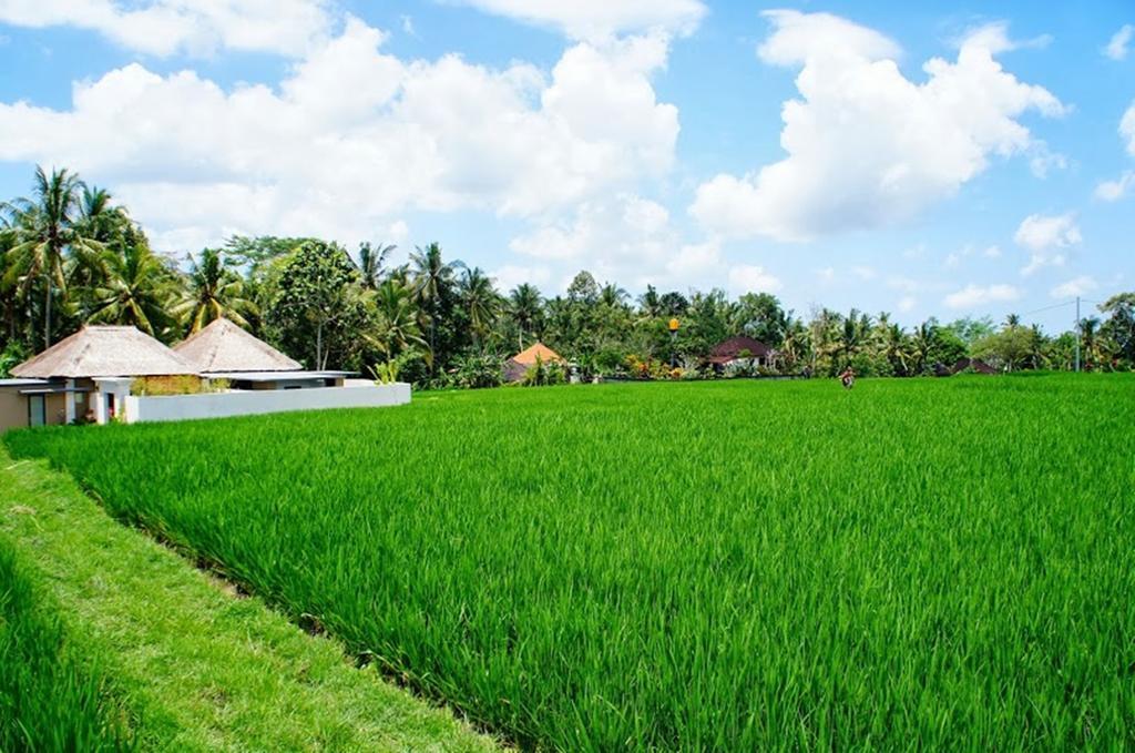 Villa Vinayaga Ubud Quarto foto